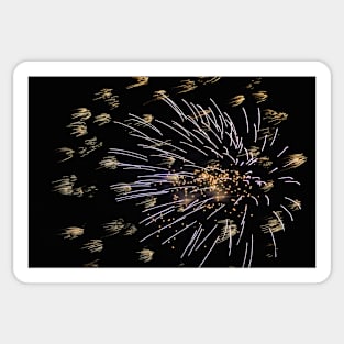 Fireworks Sticker